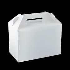 Detpak Medium Carry Pack 22cm*11.5cm*11.4cm Pack Of 50Pcs